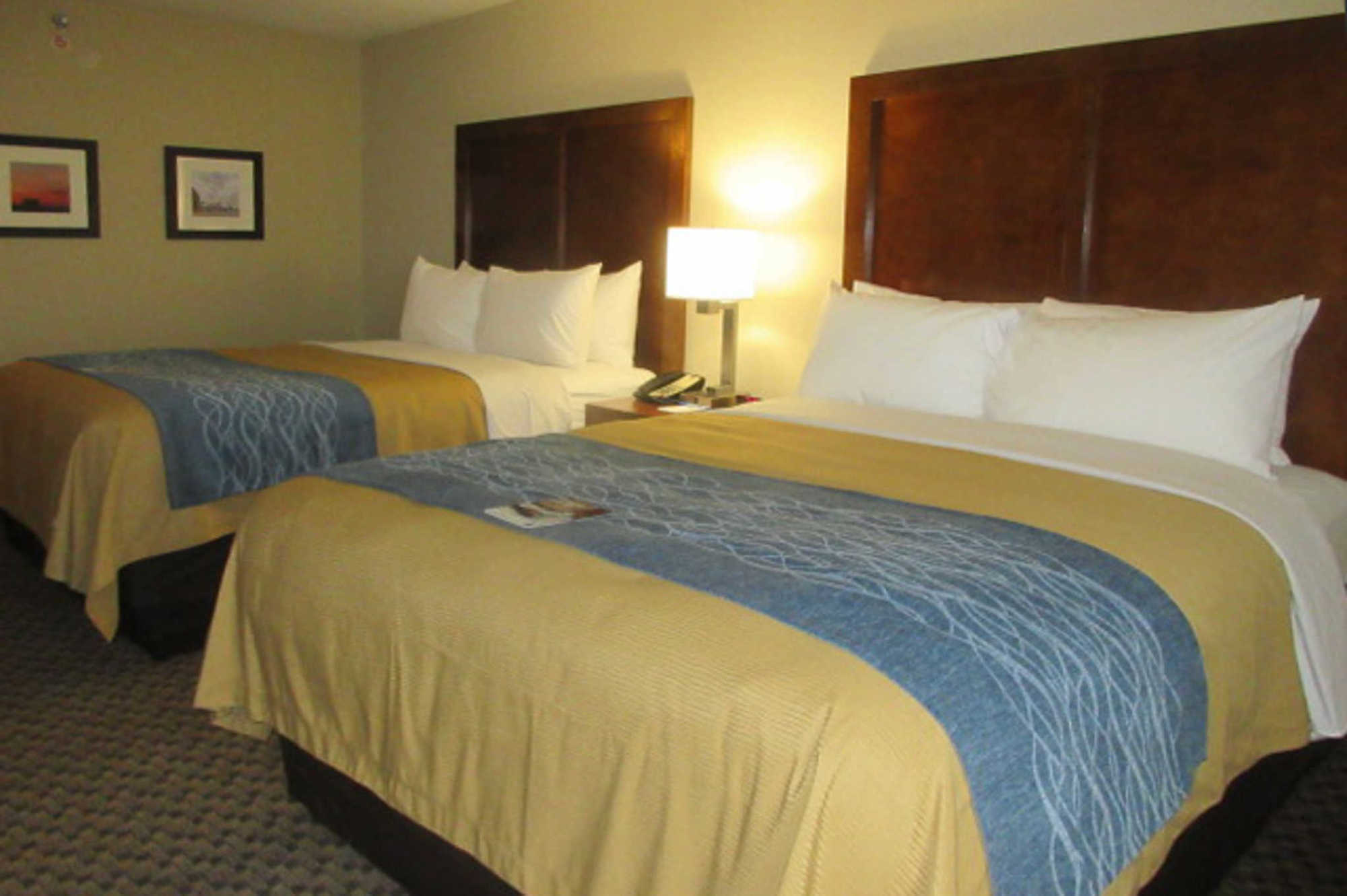 Comfort Inn Edwardsville - St Louis Номер фото